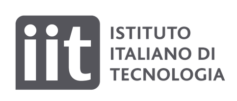 Italian Institute of Technology (IIT)
